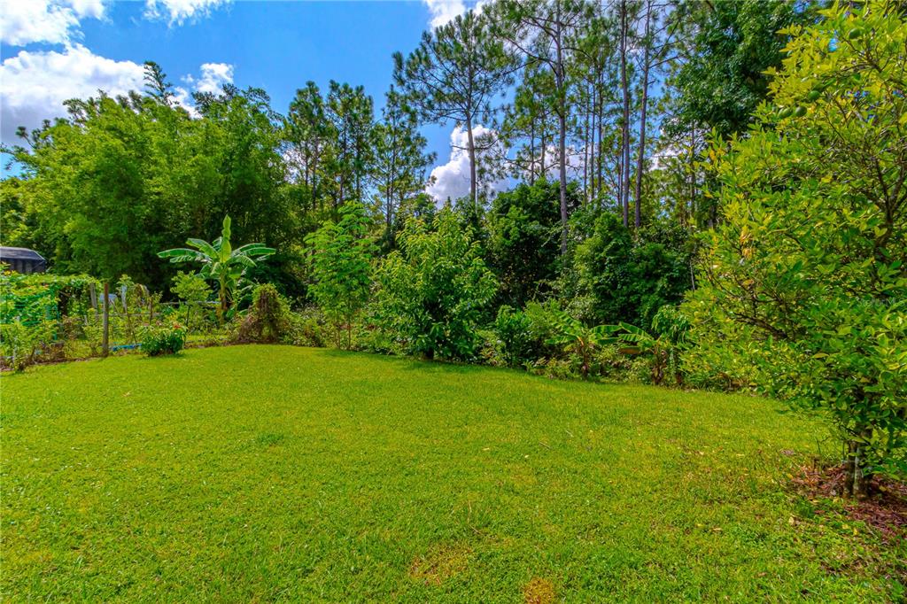 10462 WILLOW RIDGE LOOP, ORLANDO, FL — photo 2 of 30