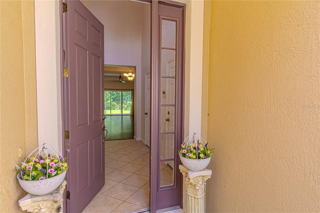 10462 WILLOW RIDGE LOOP, ORLANDO, FL — photo 5 of 30