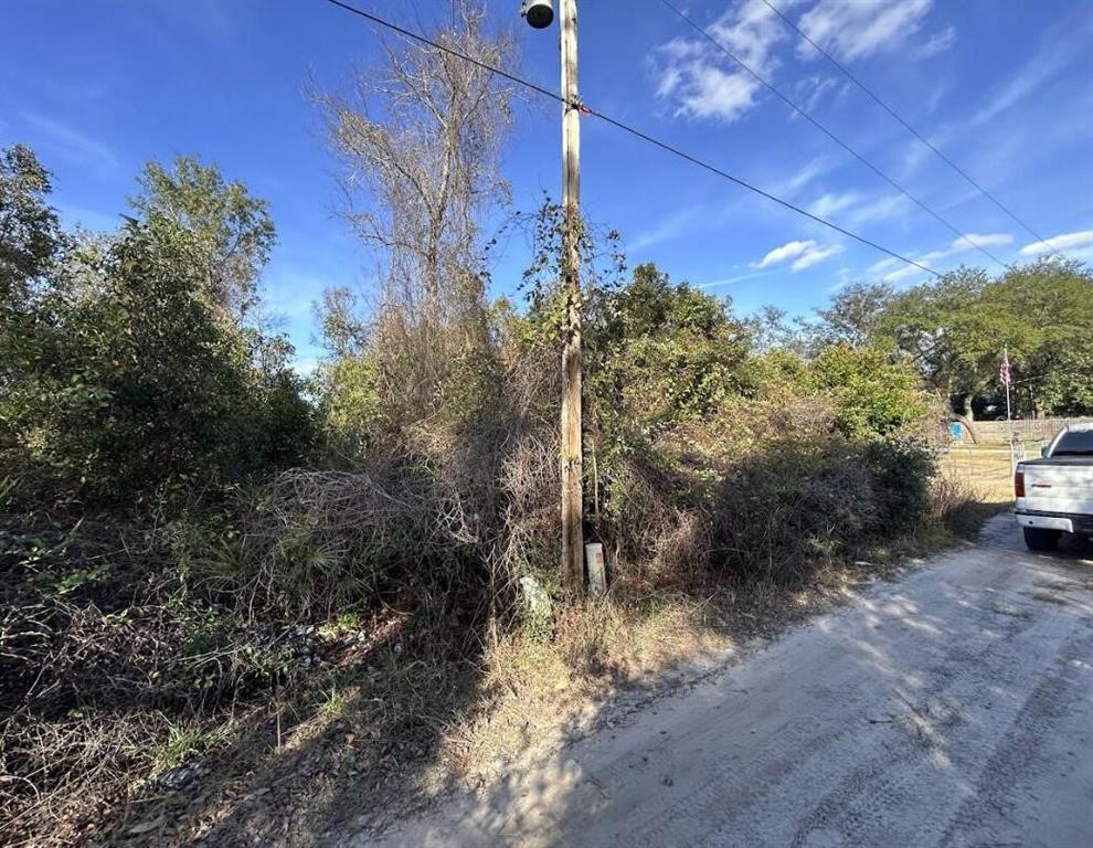 0 SE 141ST PLACE, UMATILLA, FL — photo 2 of 4