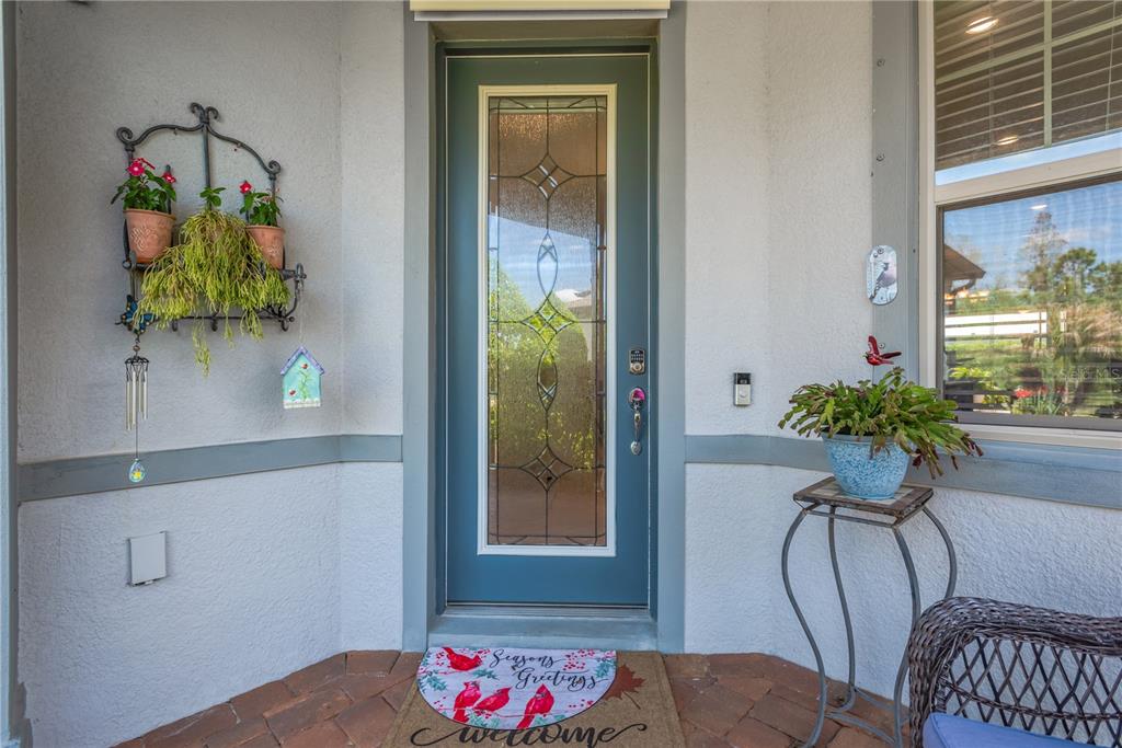 A blue front door with a glass insert sits on a covered porch with plants — 19367 COASTAL SHORE TERRACE, LAND O LAKES, FL