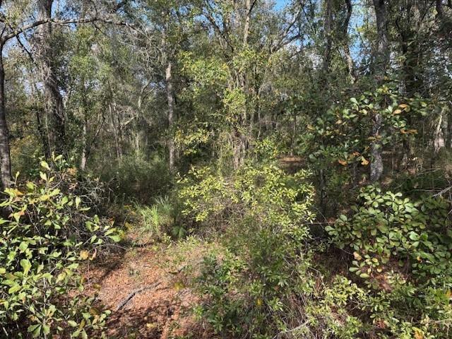 0 County Rd 54, FL 33849, FL — photo 2 of 3