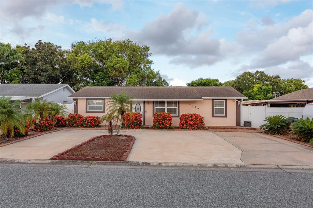 4239 CARDOON DRIVE