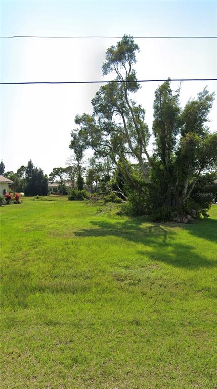A large, mature tree stands in the middle of a grassy, open residential lot — 4160 CAPE HAZE DRIVE, PLACIDA, FL
