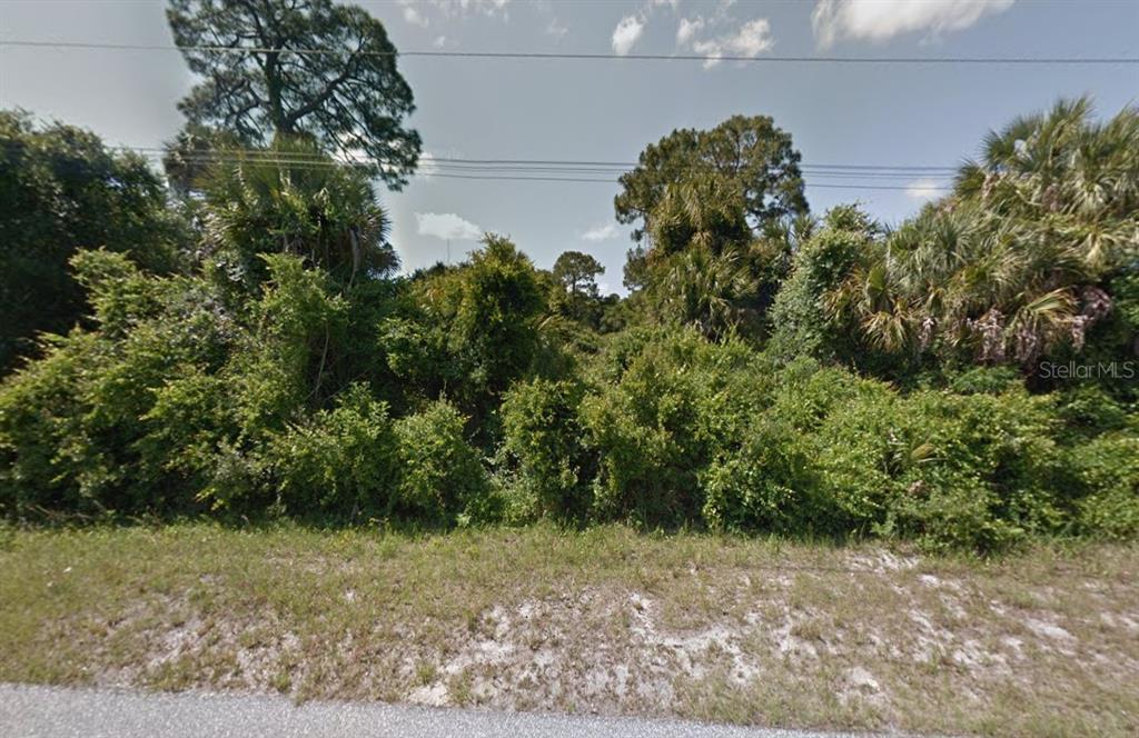 A dense, overgrown vacant lot with trees and shrubs sits along a paved road — SAN SALVADOR ROAD, NORTH PORT, FL