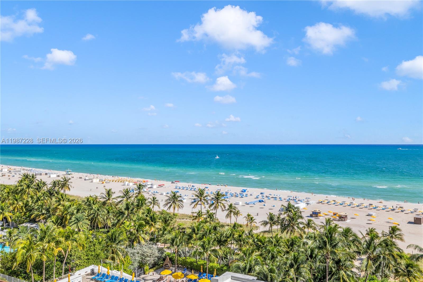 An elevated view of a sandy beach with palm trees and the ocean — 1500 Ocean Dr # 1005, Miami Beach FL 33139, MIAMI BEACH, FL
