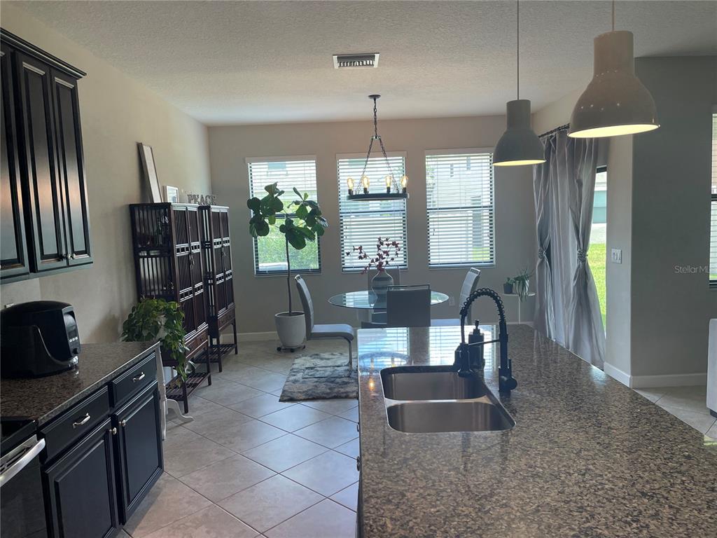 A kitchen with dark cabinets and granite countertops overlooks a dining area with three windows — 1596 LUDINGTON AVENUE, WESLEY CHAPEL, FL