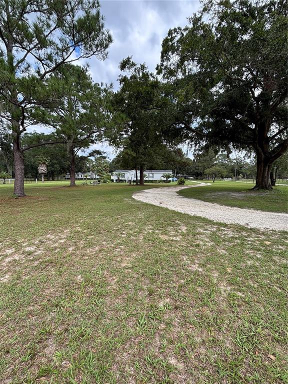 15299 N US HWY 441, REDDICK, FL — photo 3 of 30