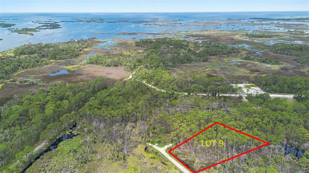 A sandy foreground leads to a wooded area with pine trees and a large palmetto bush — Lot 9 SW 104 STREET, CEDAR KEY, FL