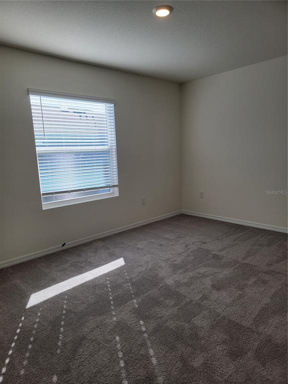 An empty bedroom features beige walls, gray carpeting, and a single window with blinds — 2892 EVERGREEN ELM PASS, WESLEY CHAPEL, FL