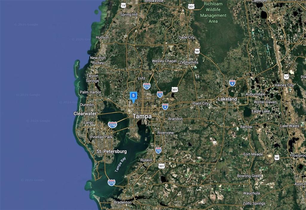 This is a satellite map showing the Tampa Bay area in Florida — 6810 N BLOSSOM AVENUE, TAMPA, FL