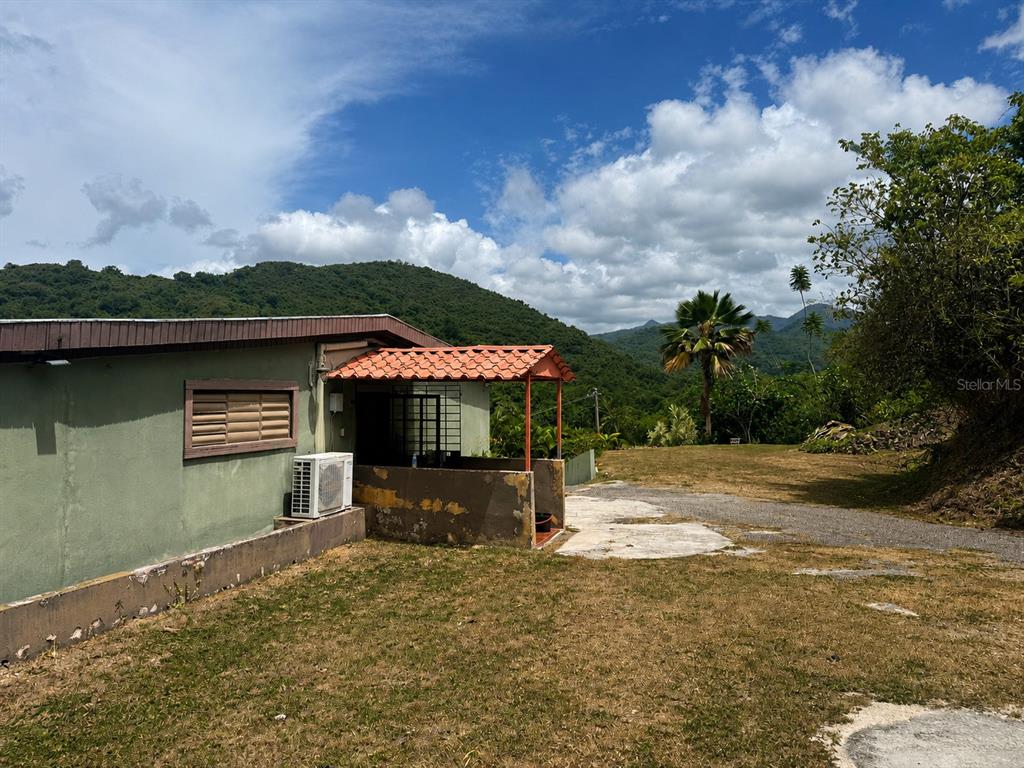 A green house with a small tiled porch sits on a grassy lot near mountains — 123 CARR, PONCE, PR