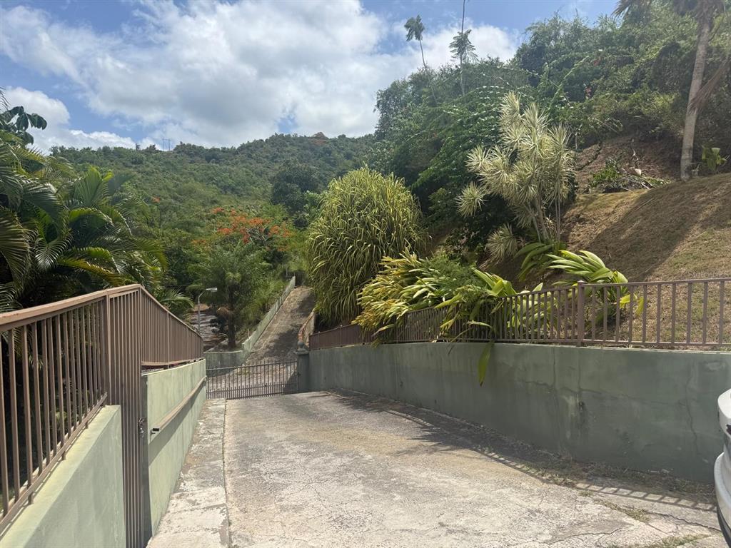 A concrete driveway leads up a hill toward a metal gate surrounded by lush vegetation — 123 CARR, PONCE, PR