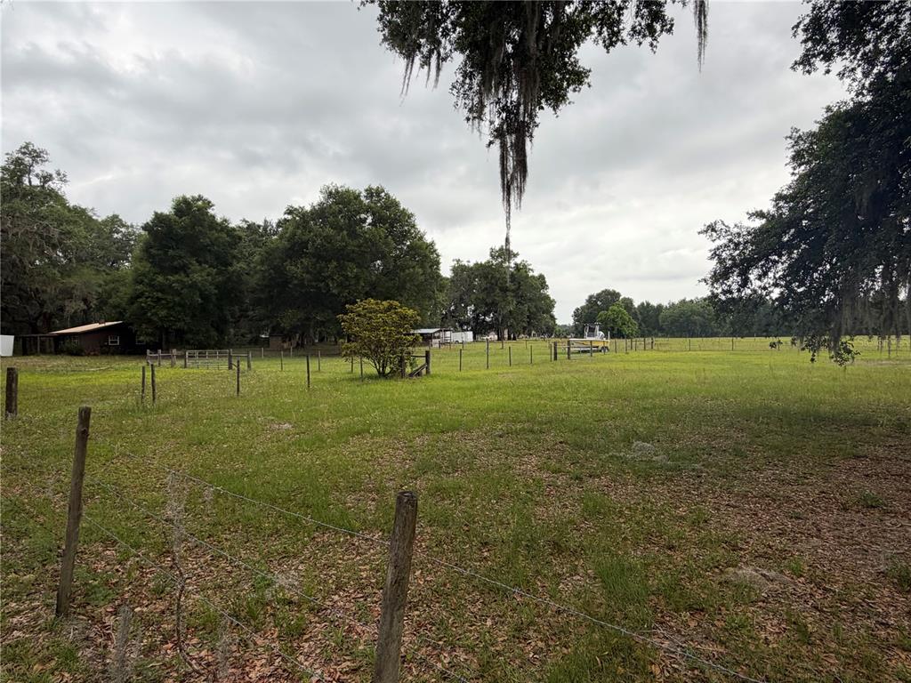 A fenced grassy pasture features scattered trees and a small structure in the distance — 2748 CR 543, SUMTERVILLE, FL