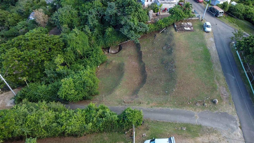 An aerial view shows a sloped, grassy vacant lot bordered by trees and a paved road — 31 SAMUEL FELIX, VIEQUES, PR