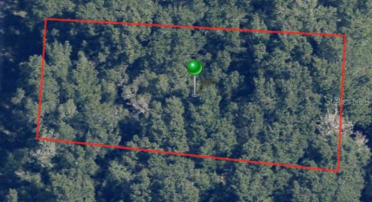 This is an aerial map view of a rectangular, wooded plot of land — 8317 N WALLINGFORD AVENUE, CITRUS SPRINGS, FL