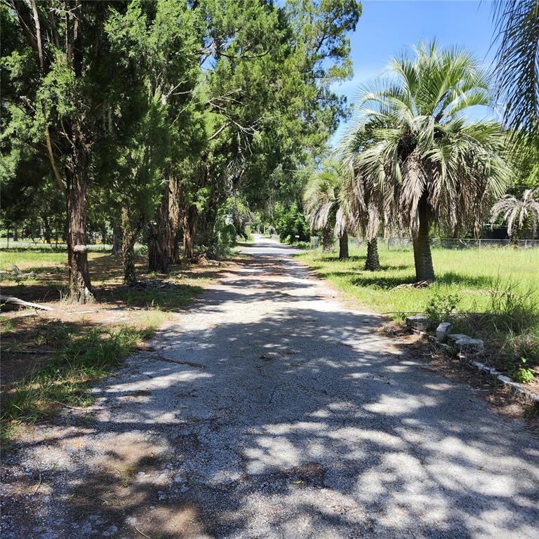 A gravel driveway lined with tall trees and palm trees leads into a grassy lot — 4718 LANE ROAD, ZEPHYRHILLS, FL