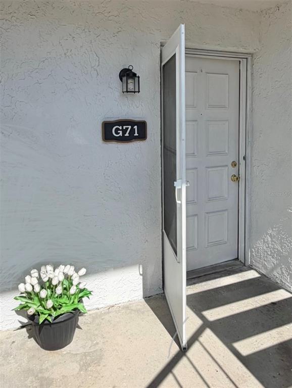 An exterior view shows a white door with a screen door and a potted plant — 3815 N OAK DRIVE UNIT G71, TAMPA, FL