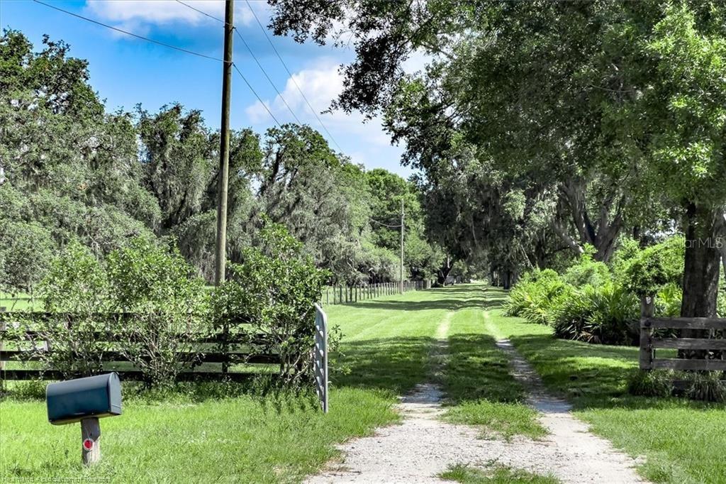 A dirt driveway leads through a grassy field lined with trees and a wooden fence — 203 BOYER STREET, VENUS, FL