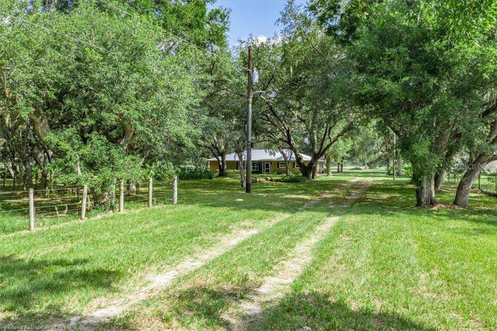 A dirt driveway leads through a grassy yard toward a house shaded by large trees — 203 BOYER STREET, VENUS, FL