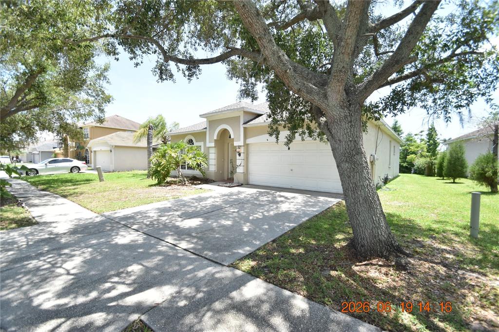 A single-story house with a white garage and a large tree in the front yard — 1625 OPEN FIELD LOOP, BRANDON, FL