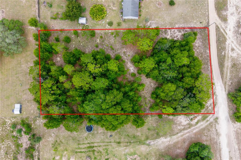 An aerial view shows a rectangular, tree-covered lot outlined in red next to a dirt road — TBD NE 115 STREET, BRONSON, FL