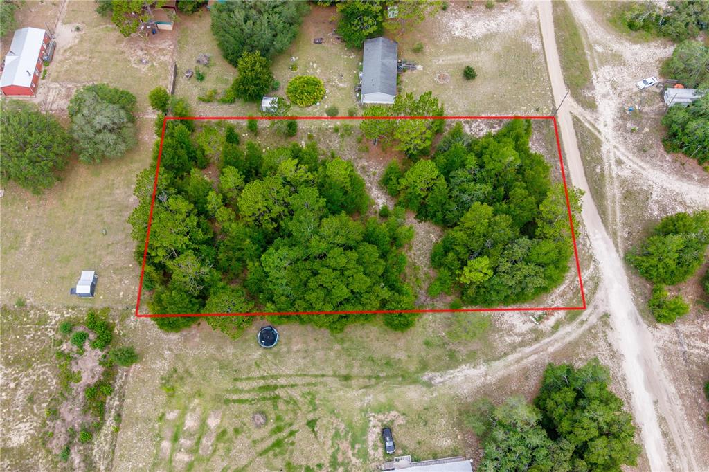 An aerial view shows a rectangular, wooded lot outlined in red within a rural area — TBD NE 115 STREET, BRONSON, FL