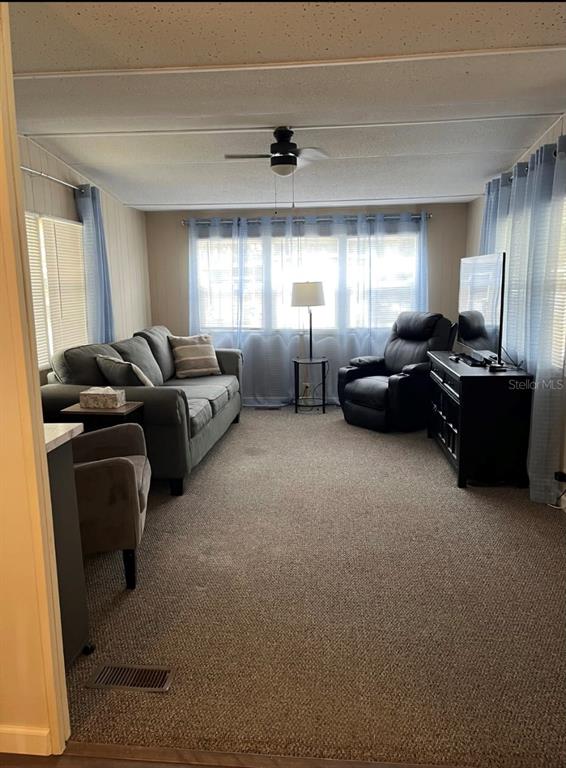 A living room features a grey sofa, a black recliner, a television, and carpeted flooring — 38961 STAPLEY CIRCLE, ZEPHYRHILLS, FL