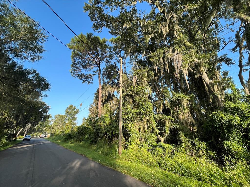 A paved road runs alongside a wooded area with tall trees draped in Spanish moss — 262 TOMS ROAD, DEBARY, FL