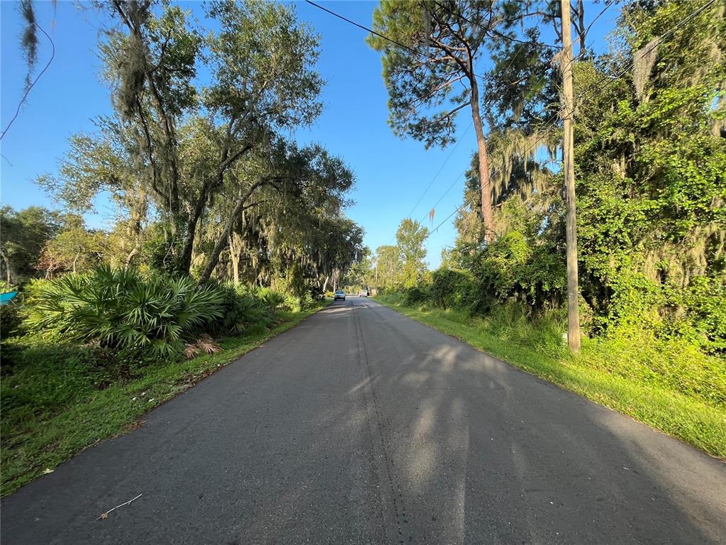 A paved road stretches into the distance, flanked by lush trees and dense green vegetation — 262 TOMS ROAD, DEBARY, FL