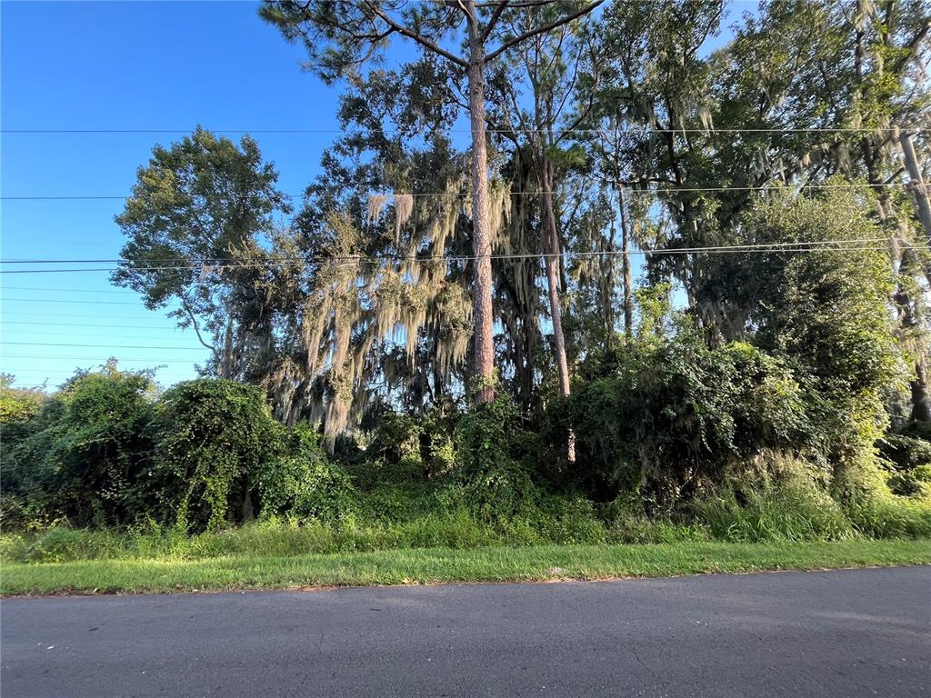 A dense, wooded lot with tall trees draped in Spanish moss borders a paved road — 262 TOMS ROAD, DEBARY, FL