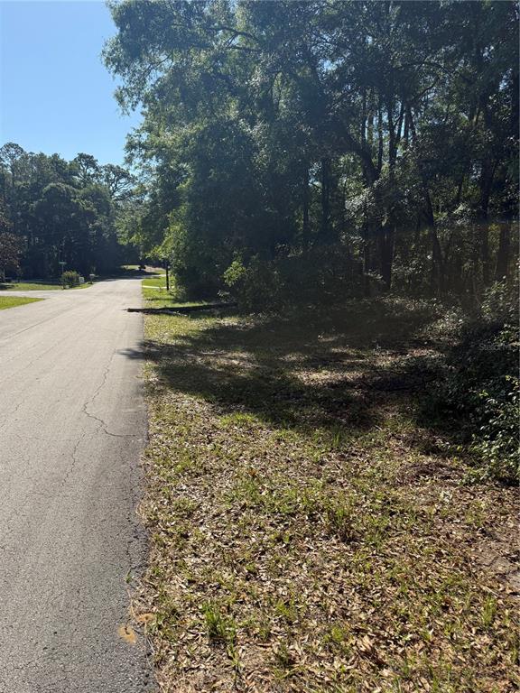A paved road runs alongside a wooded, undeveloped lot under a clear blue sky — 10927 N AIRWAY LOOP, CITRUS SPRINGS, FL