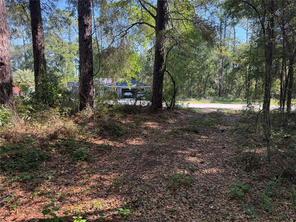 A view of a wooded, leaf-covered lot looking toward a house across a street — 10927 N AIRWAY LOOP, CITRUS SPRINGS, FL