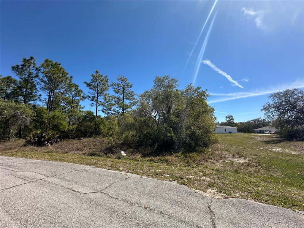 A paved road runs alongside a vacant, wooded lot under a clear blue sky — 419 MAITLAND COURT, KISSIMMEE, FL
