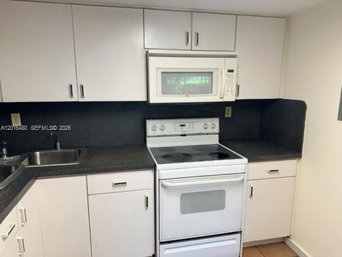 A kitchen features white cabinets, a black countertop, a stainless steel sink, and white appliances — 9001 SW 94 ST # 113, Miami FL 33176, MIAMI, FL