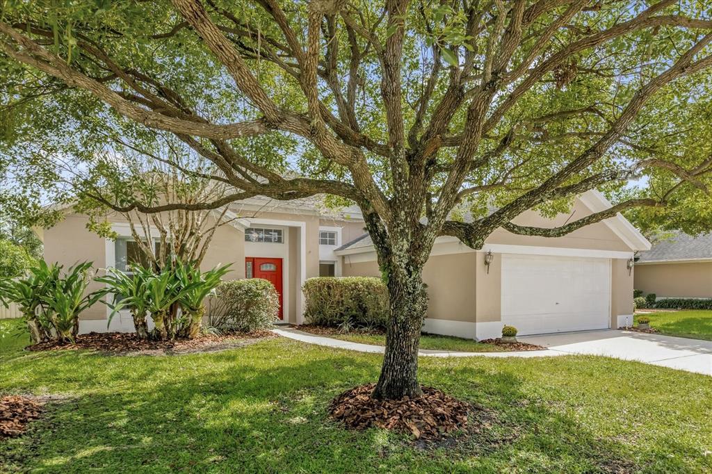 A single-story house with a beige exterior, a red front door, and a large front tree — 5653 MAGNOLIA BLOOM TERRACE, OVIEDO, FL
