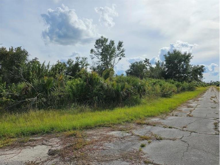 A paved road runs alongside a vacant, overgrown lot filled with trees and shrubs — Lot 1 HINSHAW AVENUE, NORTH PORT, FL