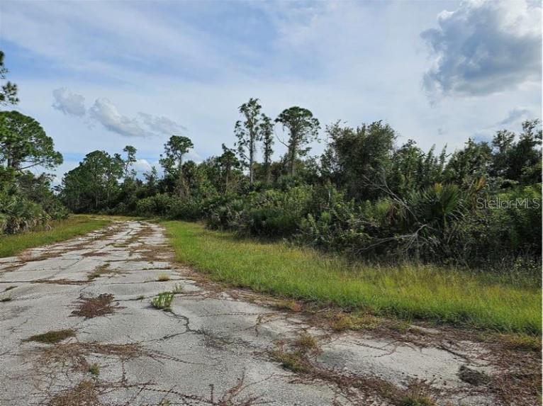 A cracked, weathered asphalt road leads toward a dense, overgrown wooded area under a cloudy sky — Lot 1 HINSHAW AVENUE, NORTH PORT, FL