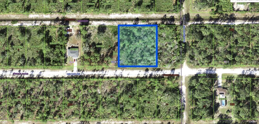 This is an aerial map showing a highlighted rectangular plot of land on a street — 704 ORCHID DRIVE, INDIAN LAKE ESTATES, FL