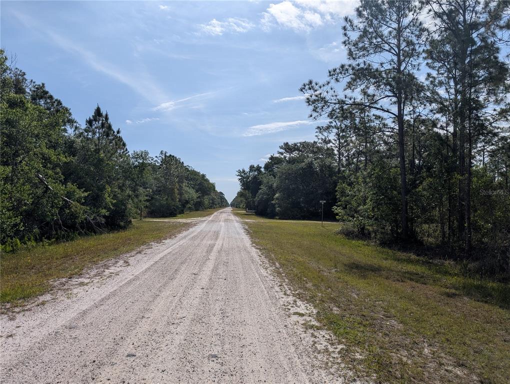 A dirt road stretches through a wooded area under a blue sky — 704 ORCHID DRIVE, INDIAN LAKE ESTATES, FL