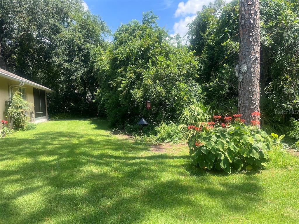 A grassy backyard features a large tree, a flowering plant, and a house with a screen — 16 LAFAYETTE LANE, PALM COAST, FL