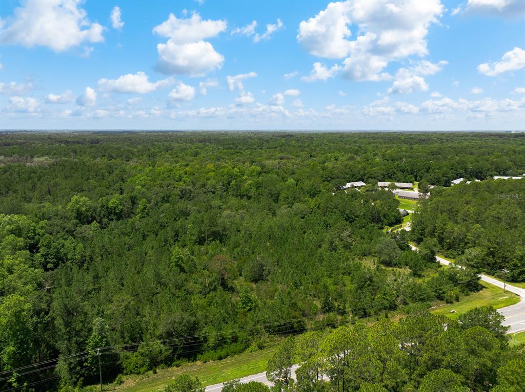 An aerial view shows a large, forested lot adjacent to a road and residential buildings — 3779 COUNTY ROAD 218, MIDDLEBURG, FL