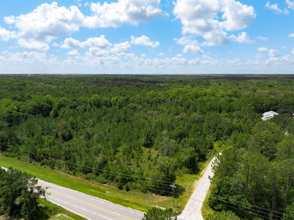 An aerial view shows a wooded lot adjacent to a paved road and driveway — 3779 COUNTY ROAD 218, MIDDLEBURG, FL