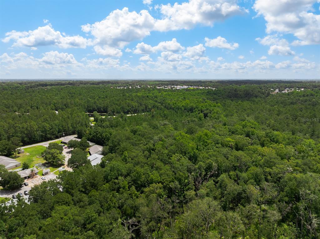 An aerial view shows a wooded area adjacent to a small parking lot and buildings — 3779 COUNTY ROAD 218, MIDDLEBURG, FL