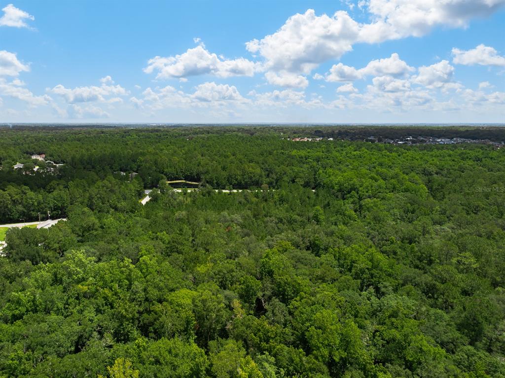 An aerial view shows a dense forest with a small road winding through the trees — 3779 COUNTY ROAD 218, MIDDLEBURG, FL
