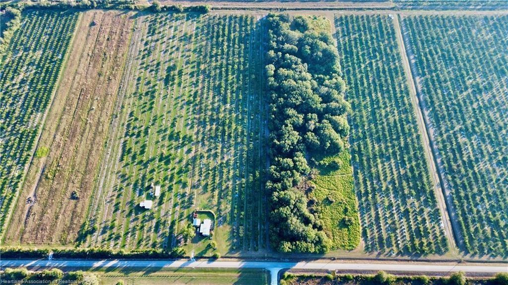 An aerial view shows a large agricultural property with rows of trees and a house — 2205 Hicks Road, FL 33857, FL