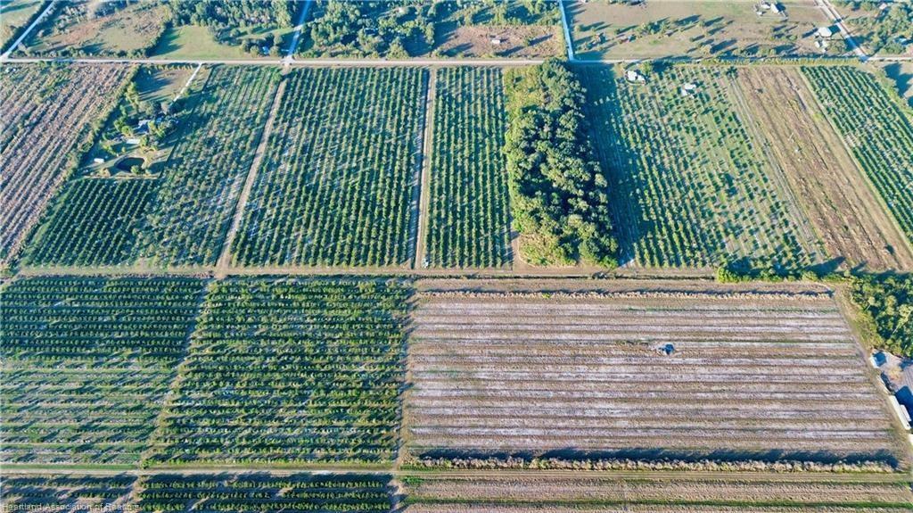 An aerial view shows a large agricultural property with rows of trees and open fields — 2205 Hicks Road, FL 33857, FL