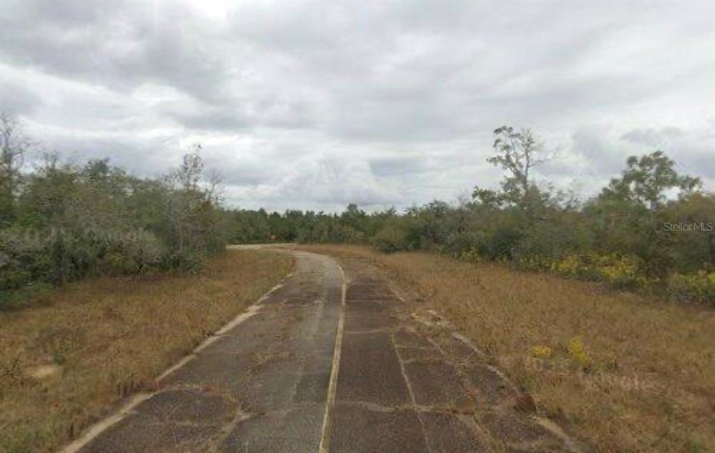 A narrow, weathered asphalt road winds through a dry, grassy field toward a wooded area — LYNNHAVEN LANE, CHIPLEY, FL