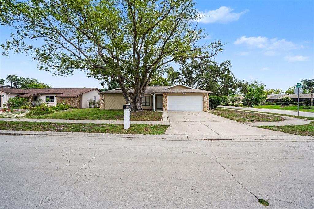 A single-story house with a large tree in the front yard and a concrete driveway — 11424 SCALLOP DRIVE, PORT RICHEY, FL