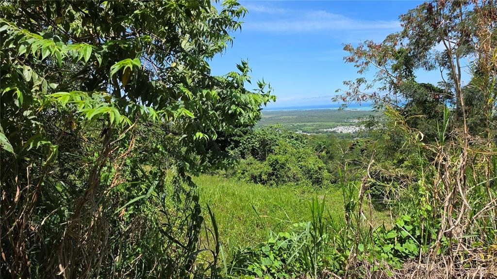 A view from a grassy hillside overlooking a coastal town and the ocean — Zarzal Arriba CARR. 966 KM 2.3 UNIT K, RIO GRANDE, PR