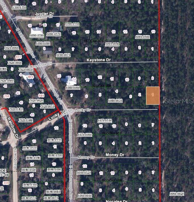 312 LUCKY DRIVE, FLORAHOME, FL — photo 3 of 3